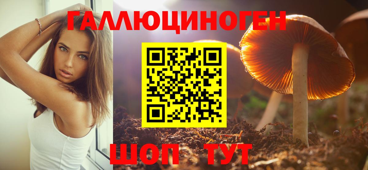 Галлюциногенные грибы Psilocybe  Вход с VPN  Жуковский 