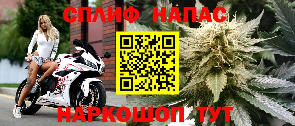 Шишки марихуана сатива Жуковский